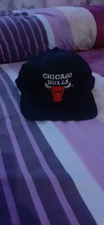 Chicago bulls sapca