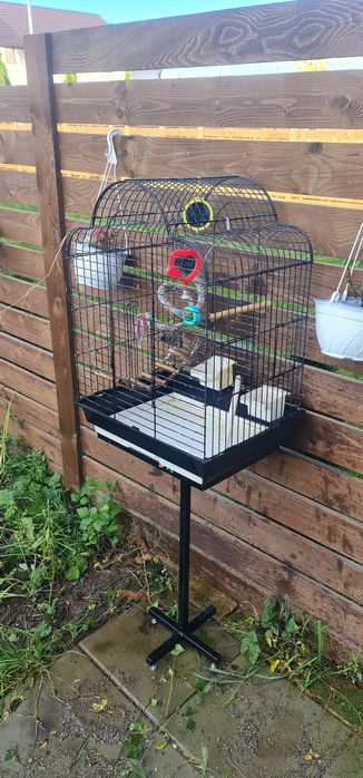 Colivie păsări mare