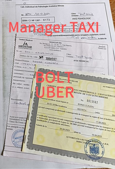 Manager Bolt Taxi toate actele