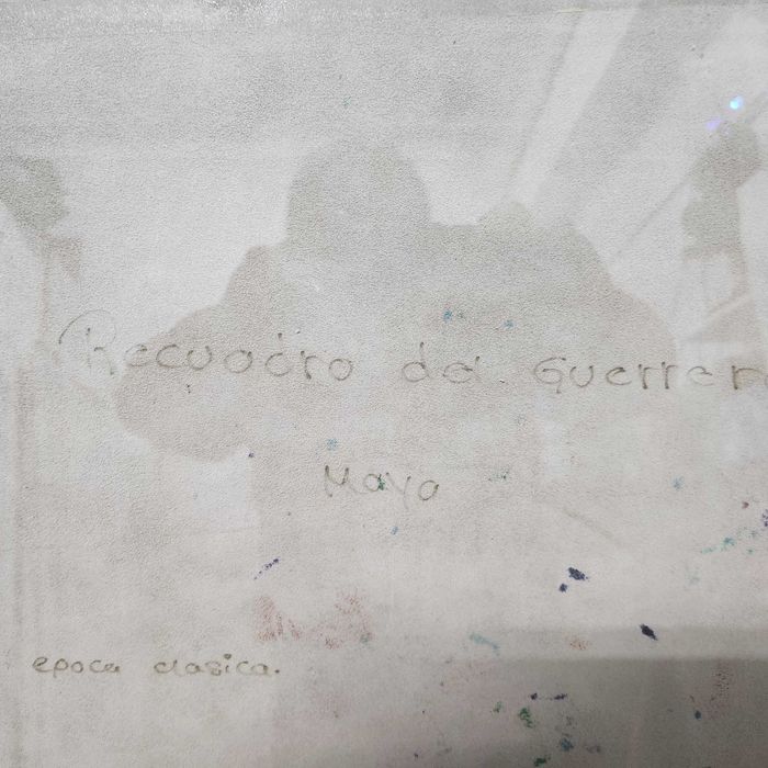 vand tablou ( pictura pe piele)