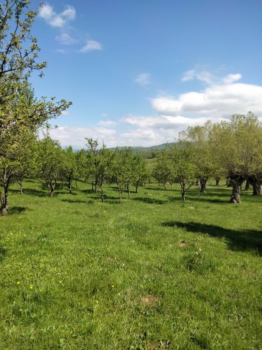 Vând teren intravilan  Boteni Argeș   9000 mp.  4 euro mp