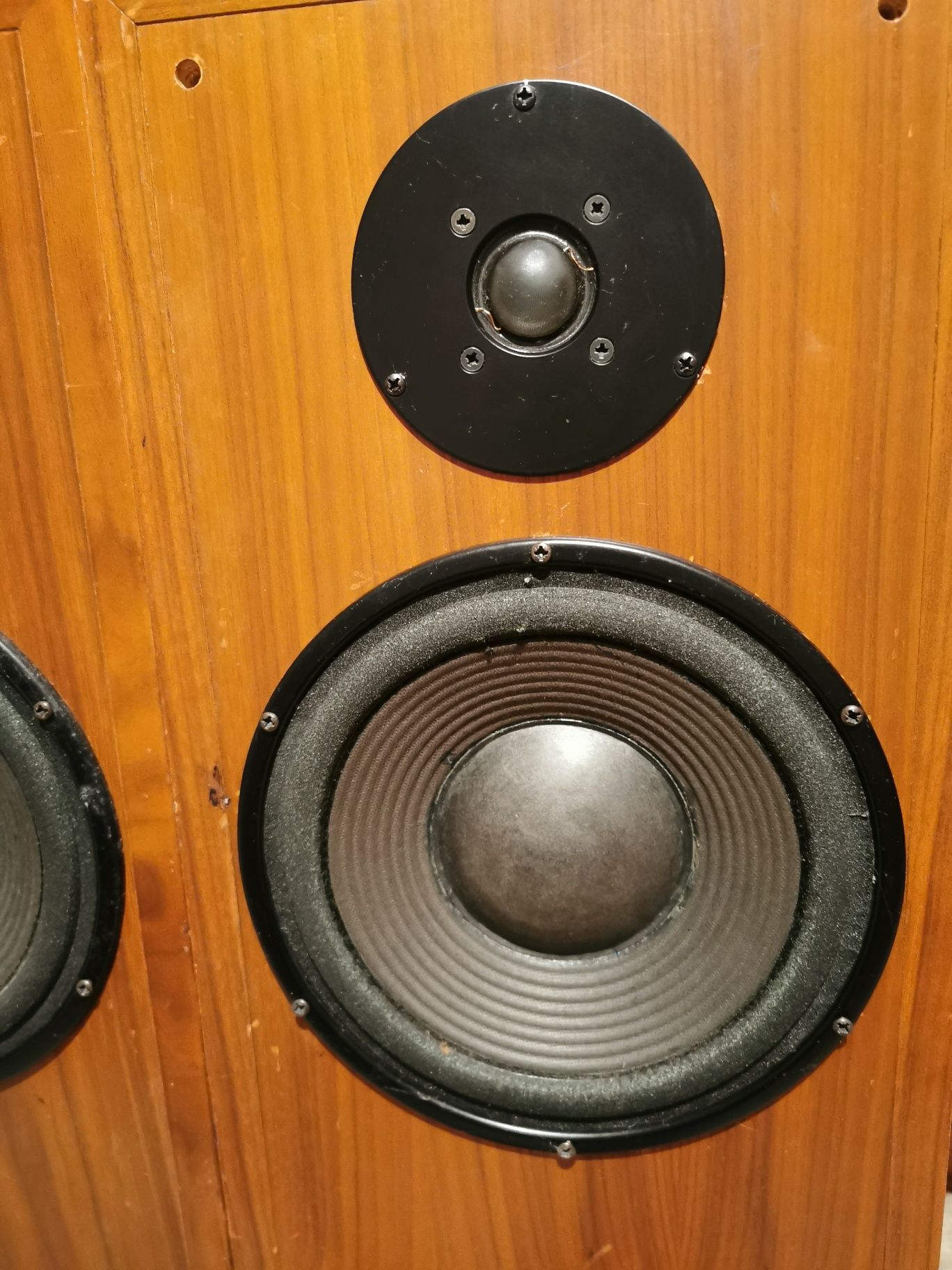 Тонколони Dynaudio Junior 75