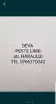 Service gsm Deva-Peste Linie