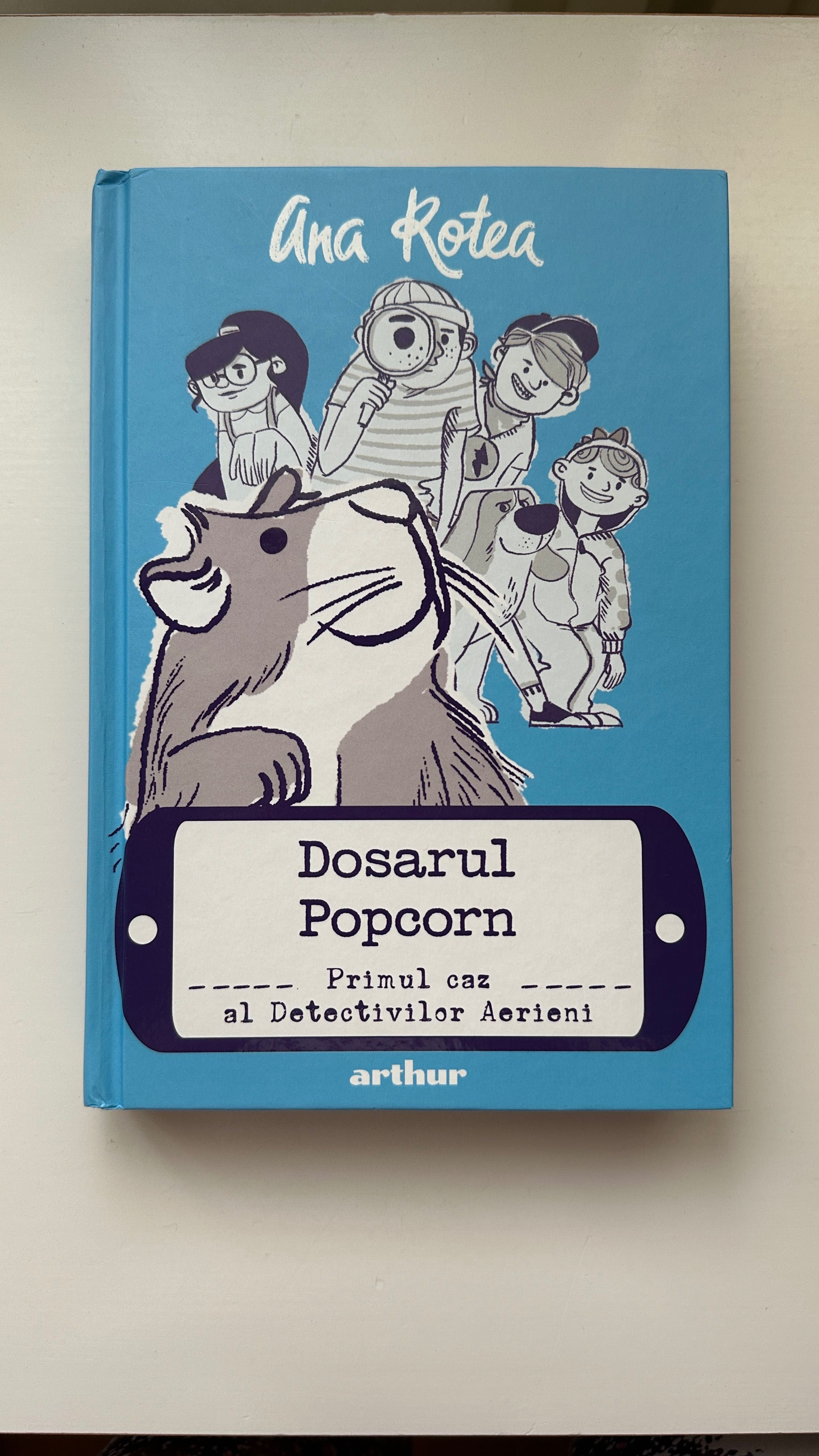 Dosarul Popcorn, Primul caz al detectivilor  aerieni