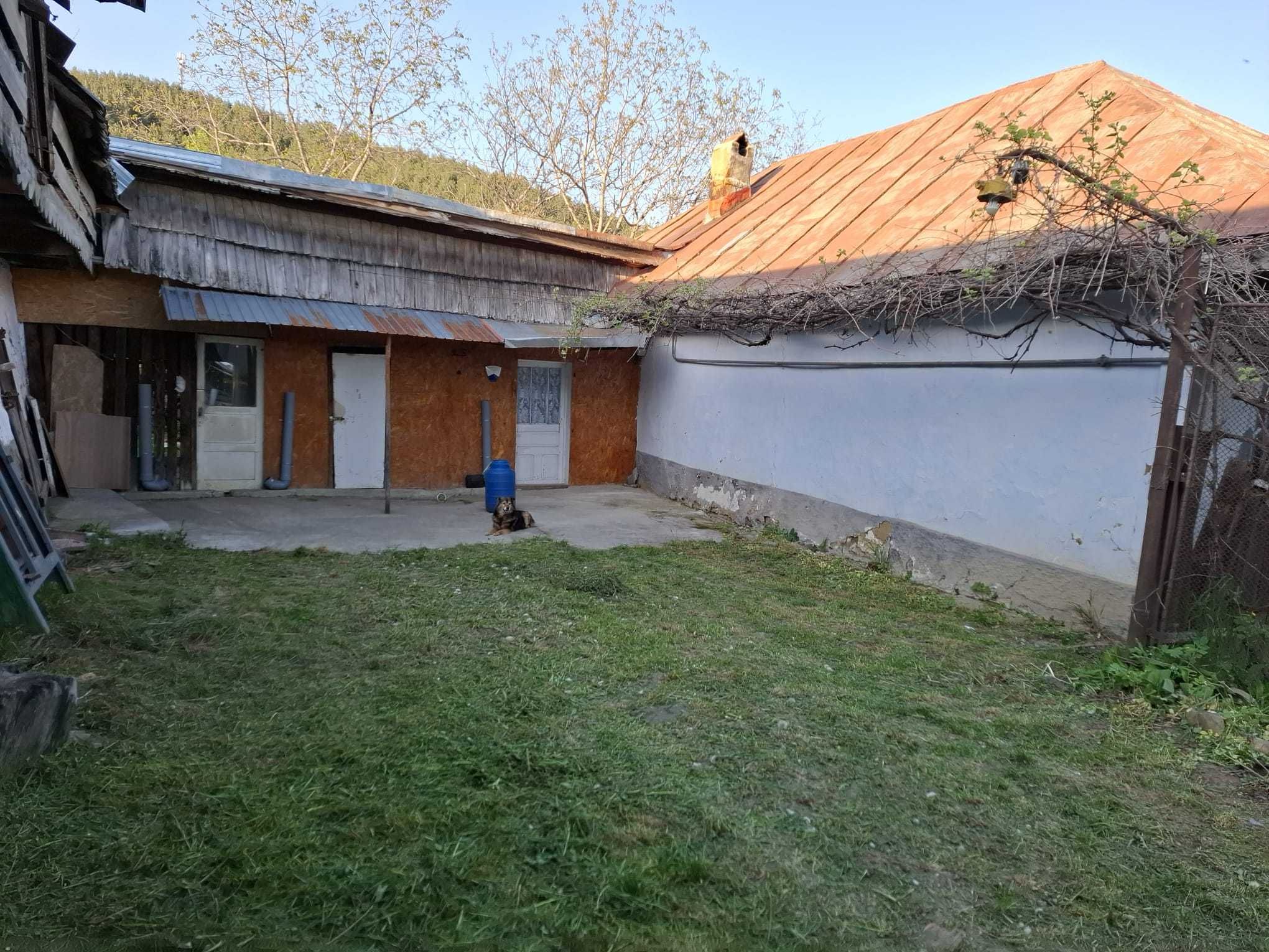 Casa in Moinesti, teren 1870m2, 90 m deschide la strada Stefan Luchian