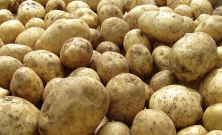 Продам картофель