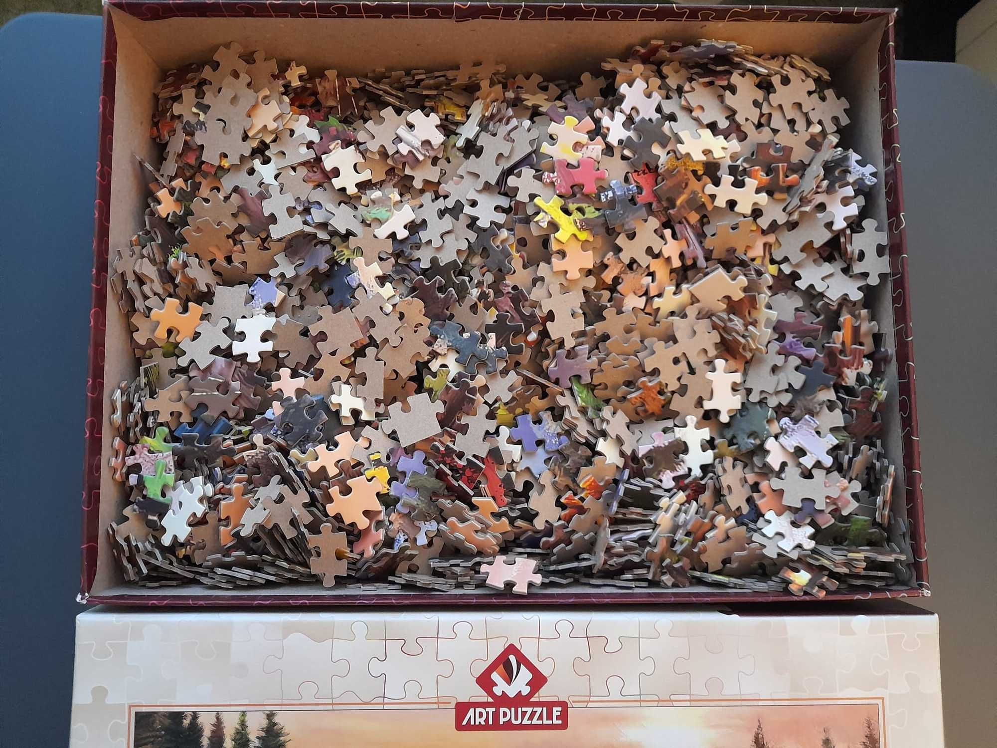 Puzzle Art Puzzle 3000 piese - Camping Friends (5520)