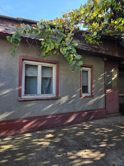 Casa de vanzare Voluntari
