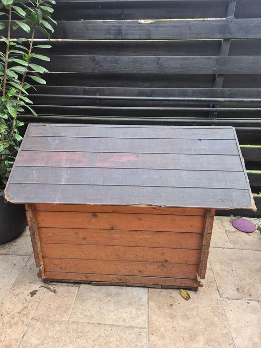 Cusca catei in stare buna