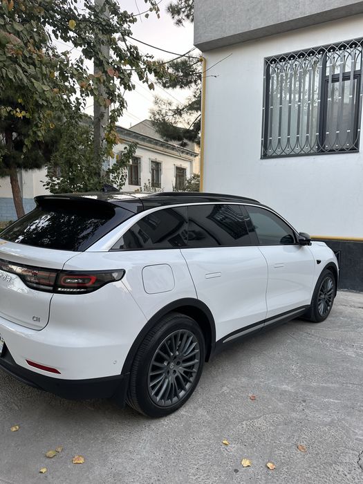 Leapmotor c11 c16 byd champion