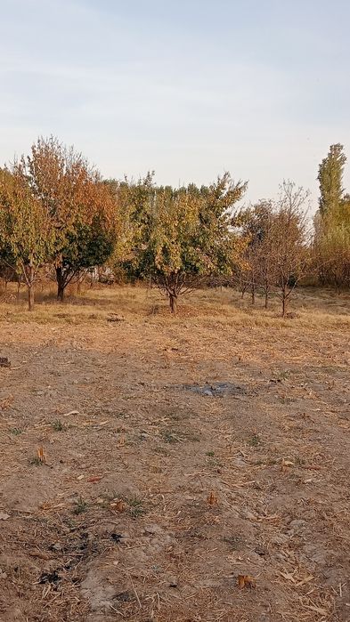 Sotiladigan uchaska bor