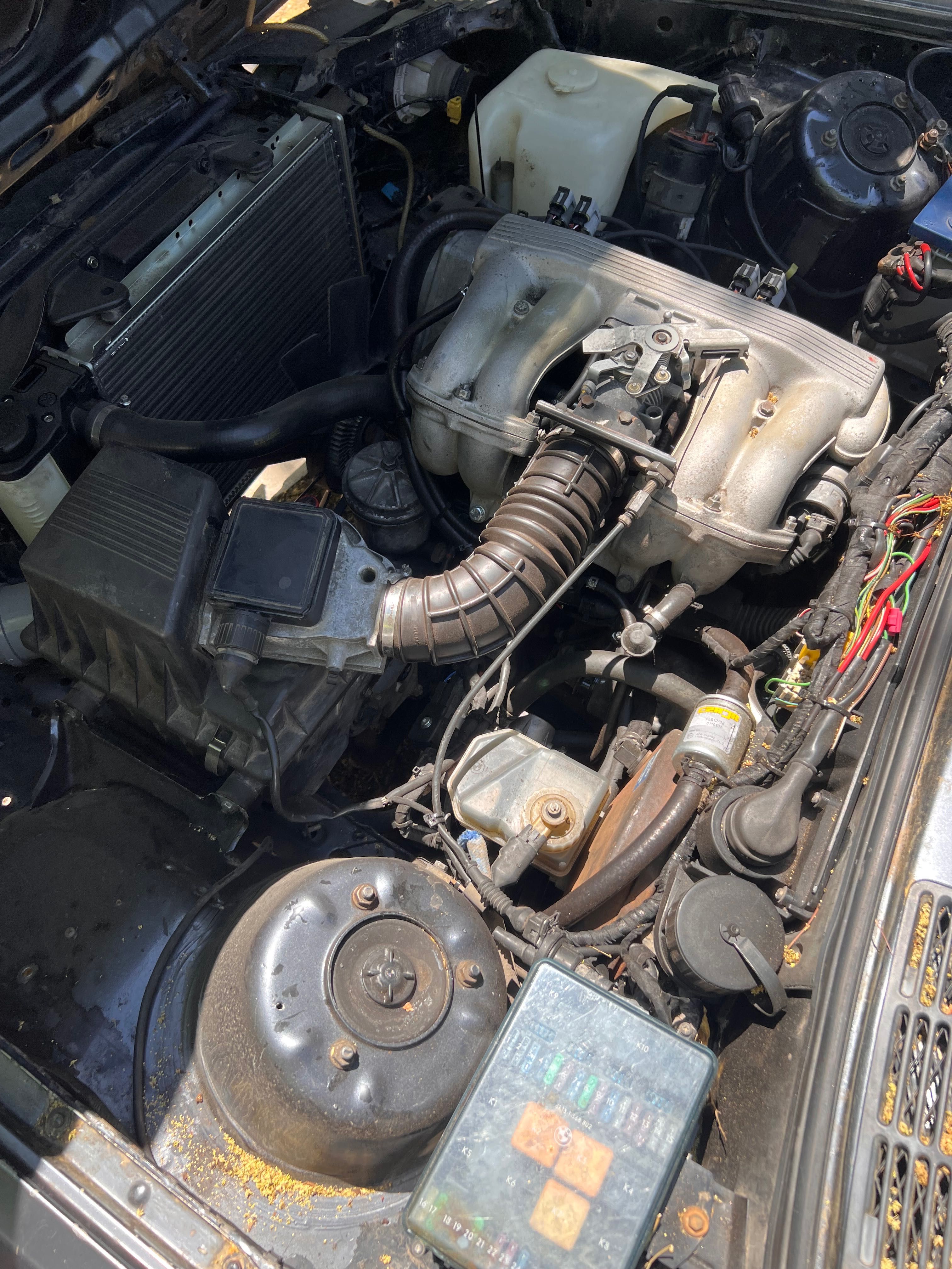 BMW e30 316 + 1.8is