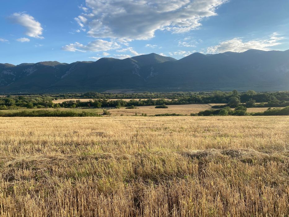 Домашни яйца с лична доставка