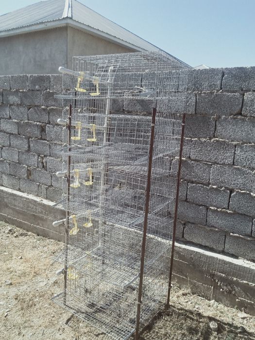 Сетка для перепелов