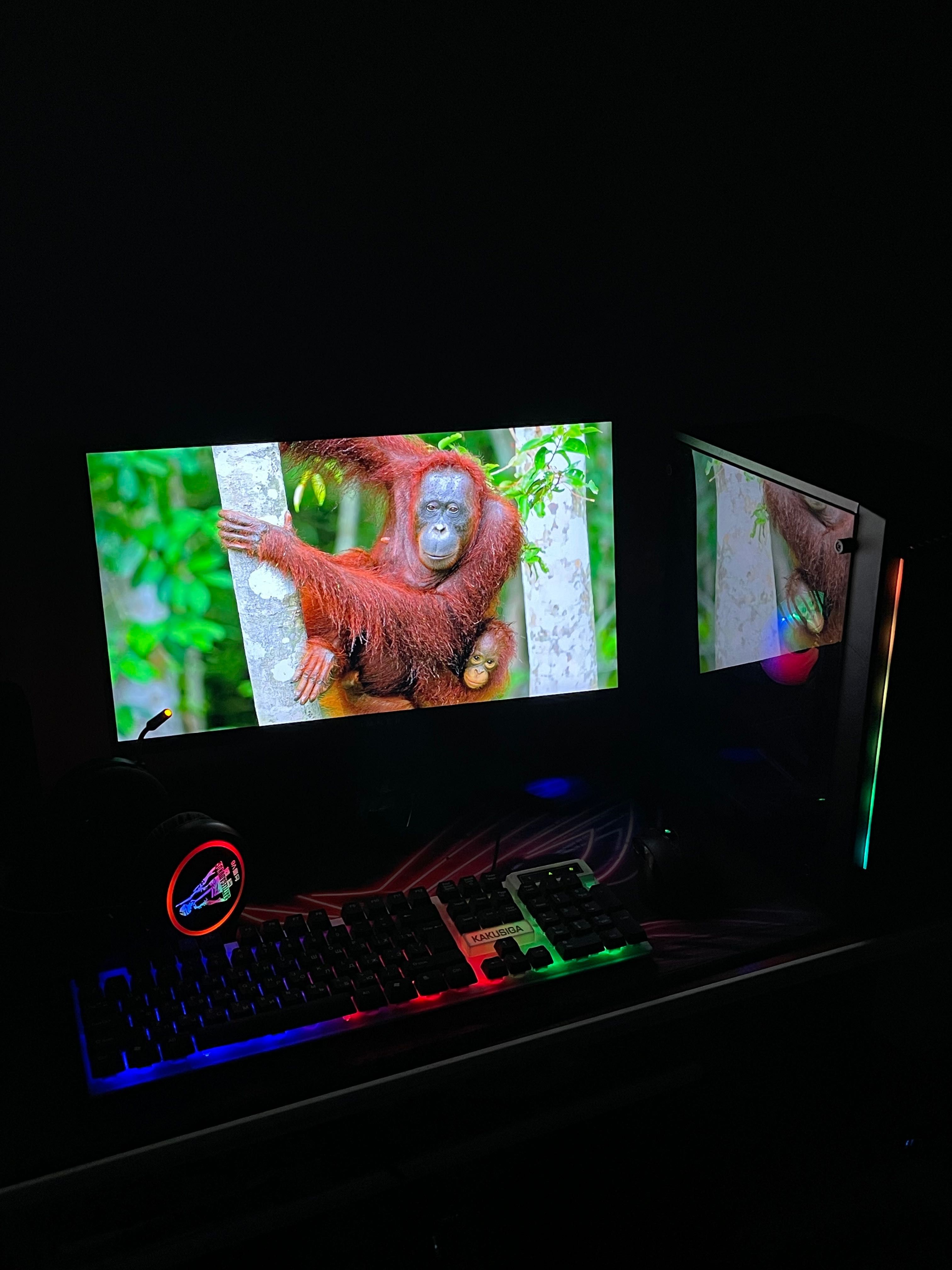 Kompyuter programma / igra intel core 5