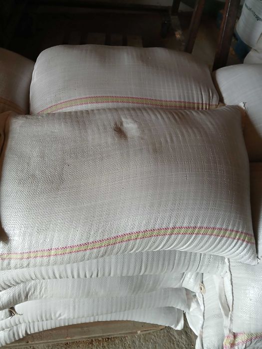 Sămânță de lucernă