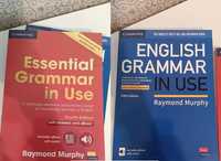 Книга обучение английского языка English Grammar USE