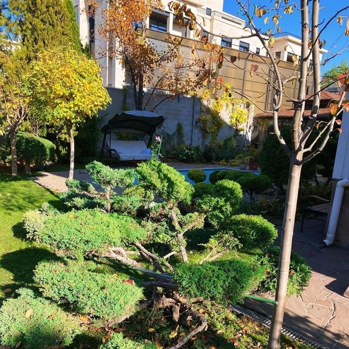 Обрезка плодовых деревьев обрезка хвойных