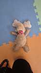 Jucarie de plush ren