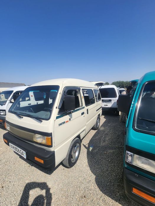 Damas sotildi serochny