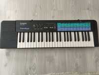 Orga casio că 100