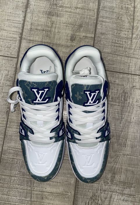Lv trainer si dior b22