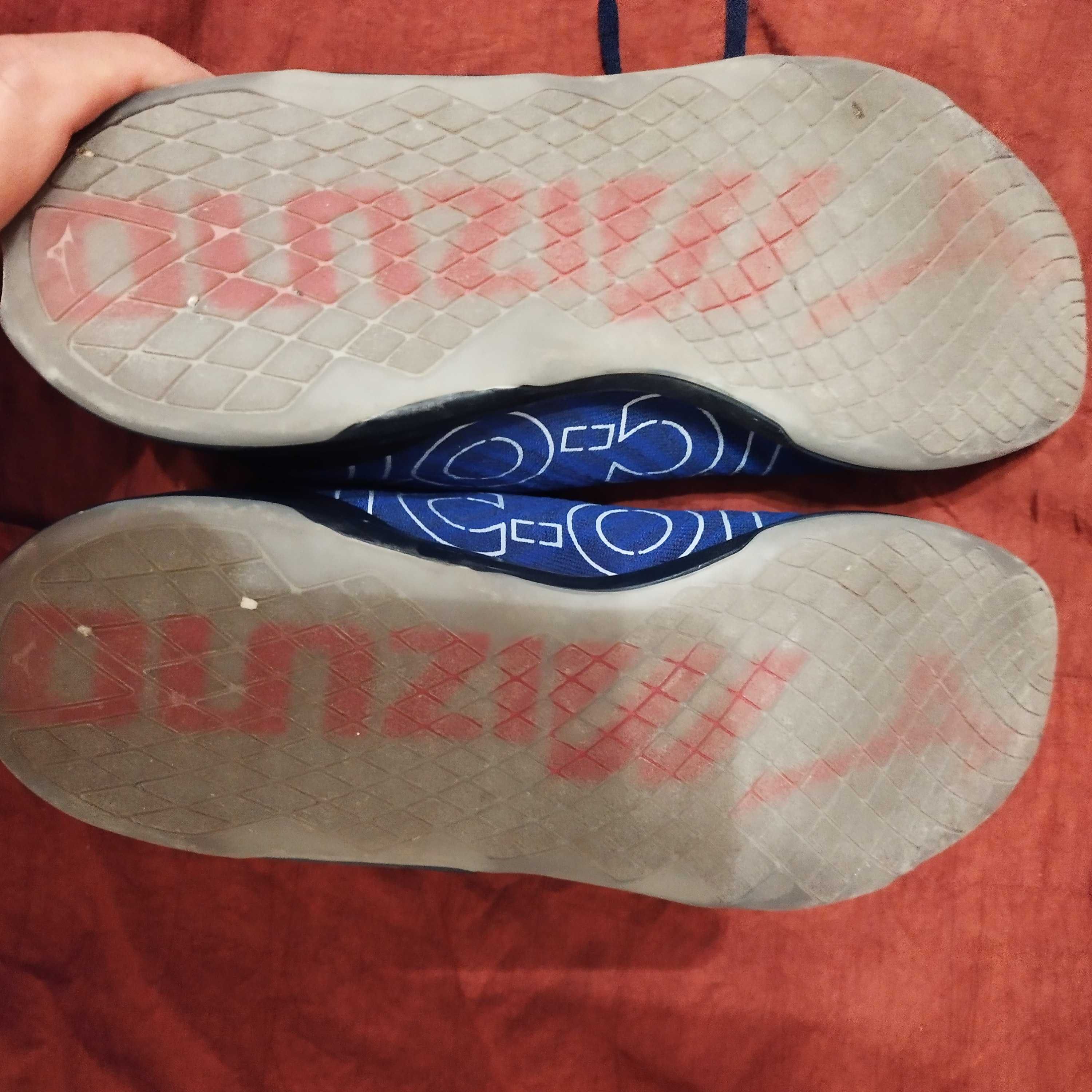 маратонки Mizuno 45,5-29,5см