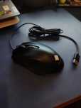 Mouse Omen Vector Essential