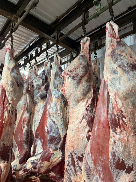 Мясо Говядины только ОПТОМ ТУШАМИ!