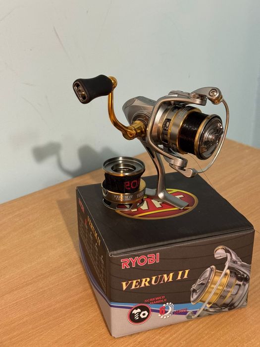 Bologneza benzar concourse 6m