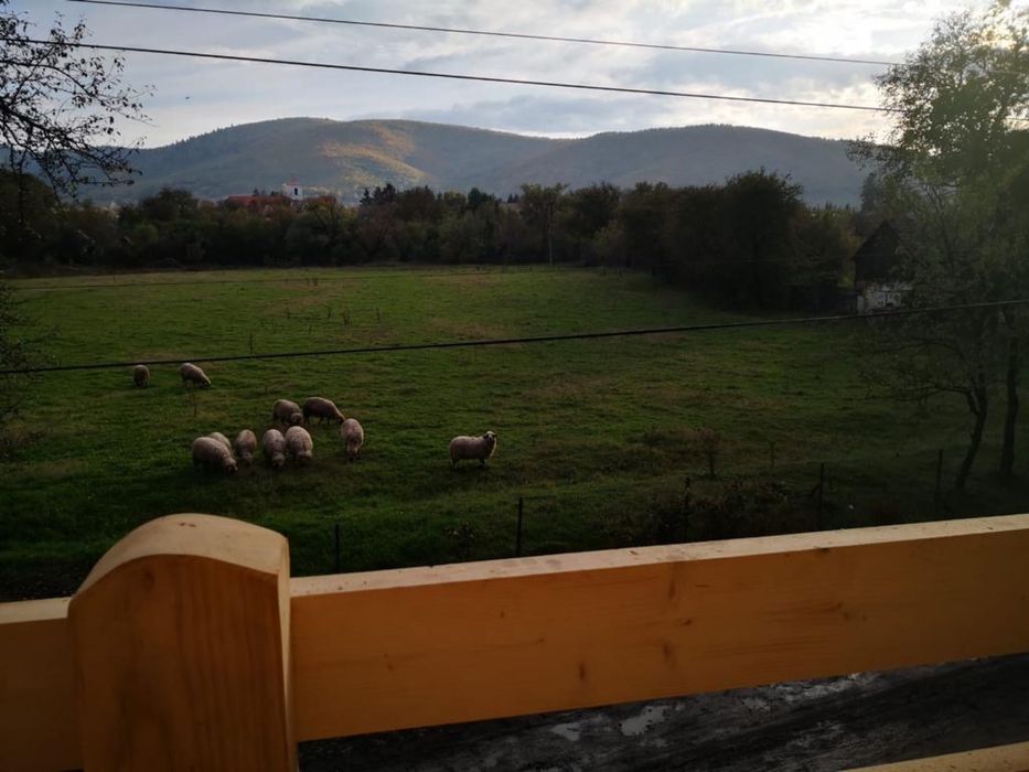 vand casa il localitatea zagon