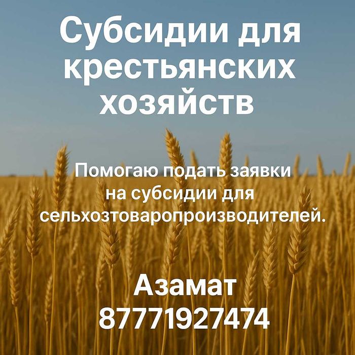 Подача заявок на субсидии / Бухгалтерские услуги
