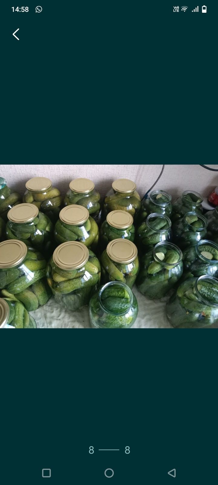 Делаю домашние закатки на зиму