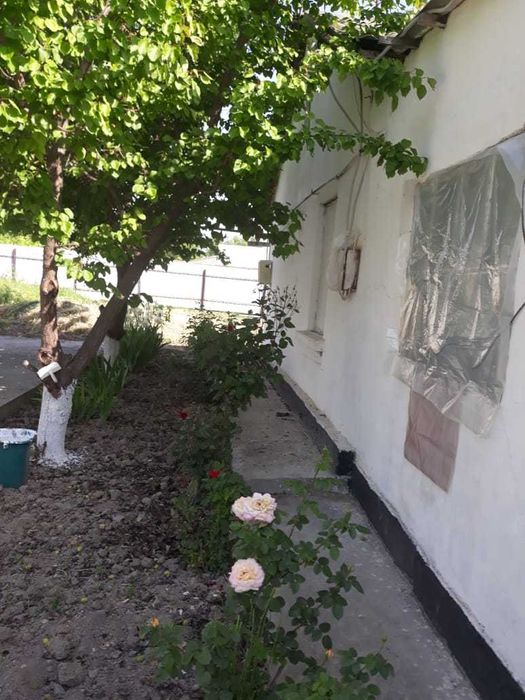 дом 150 кв.м. с участком 19 соток. Ташкентская область пос. Янги Хает