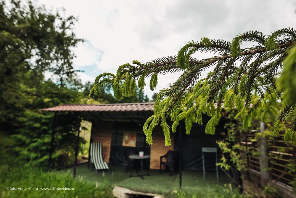 Ethereal Chalet | Cabana de Inchiriat de 6 persoane