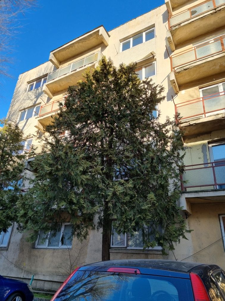 De vanzare 4 apartamente 2 camere in Giurgiu 35000 eur