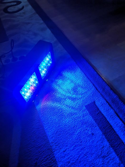 Proiector panou LED UV  Niello M-300 de 300w cu spectru complet