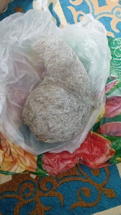 Ассалаумалейкум құрқылтай ұясы бар 5000теңге штук, 5штук алса 3мыңнан