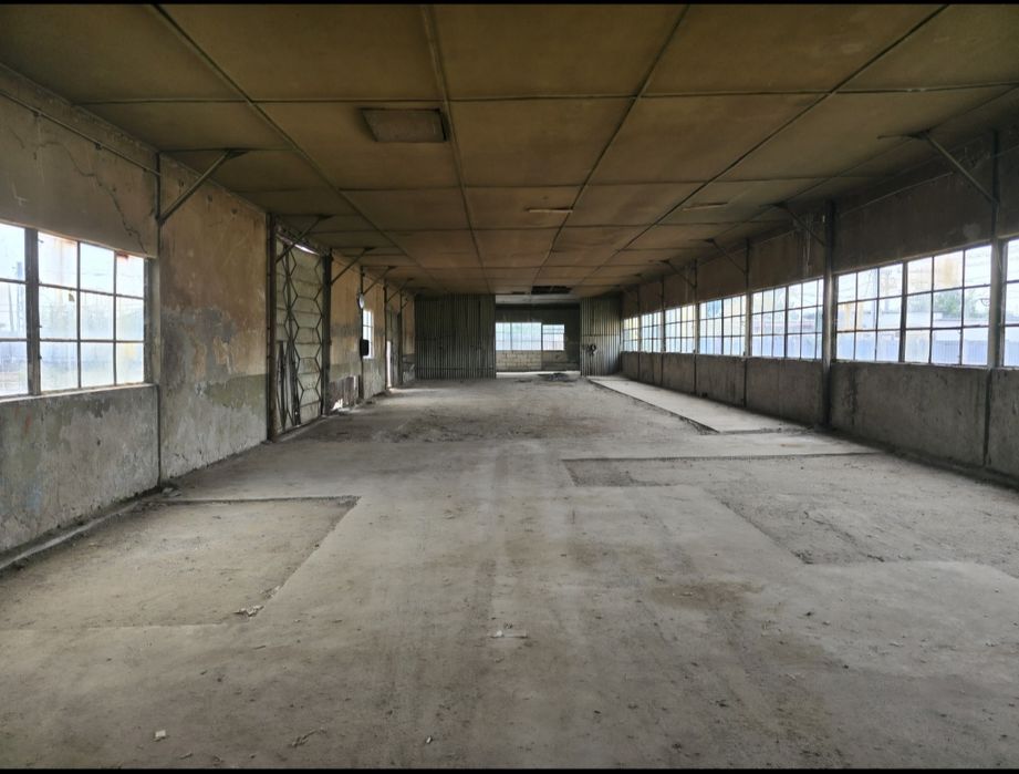 Hale 2350 Mp si Teren Betonat 10.000 Mp