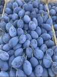 Prune pentru tuica