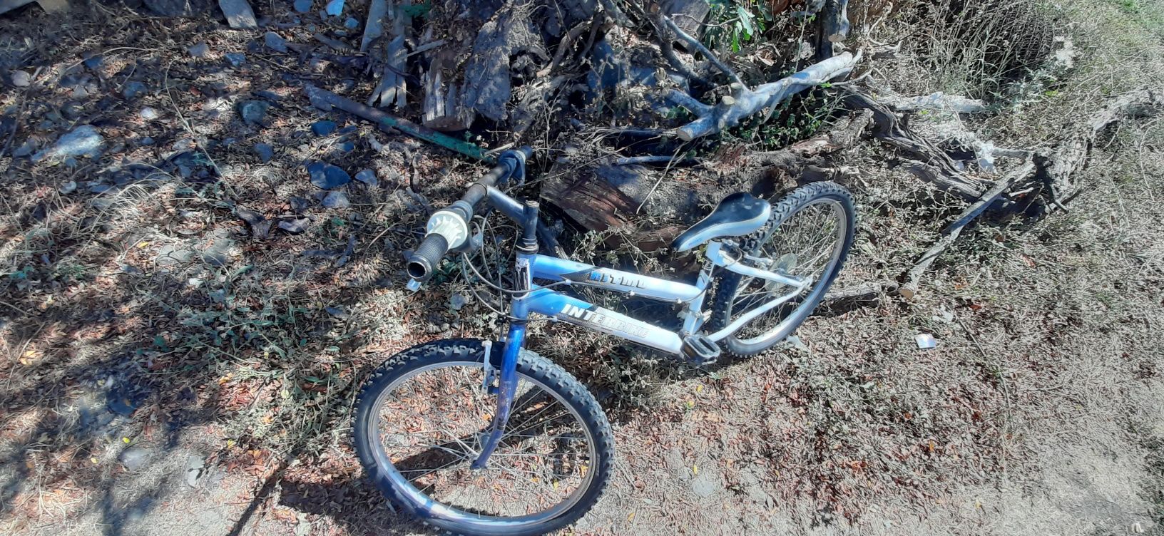 Детско колело 24цола Inter bike Ritmo
