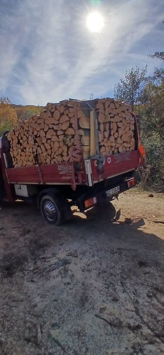 Lemne de foc esență tare Fag tăiate crăpate