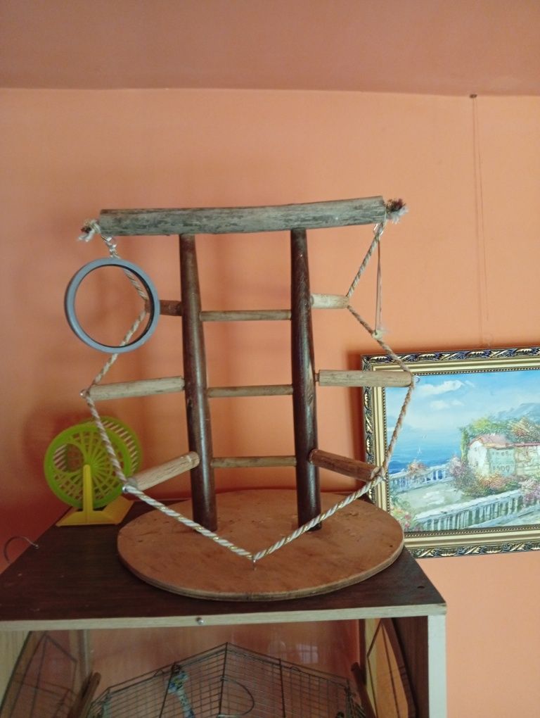 Продавам говорещо папагалче Монах.
