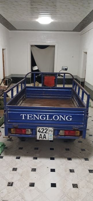 Муравей Tenglong