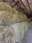 Baloti lucerna uscata 1,2 x 1,8 m 450 kg