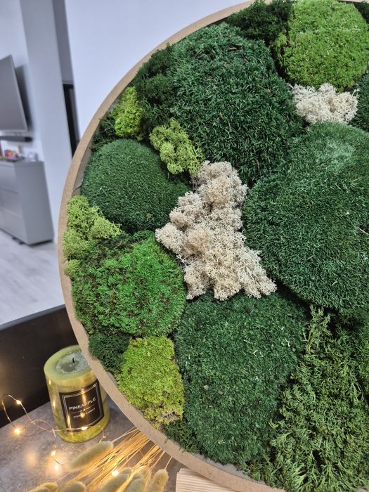 Tablou din muschi si licheni