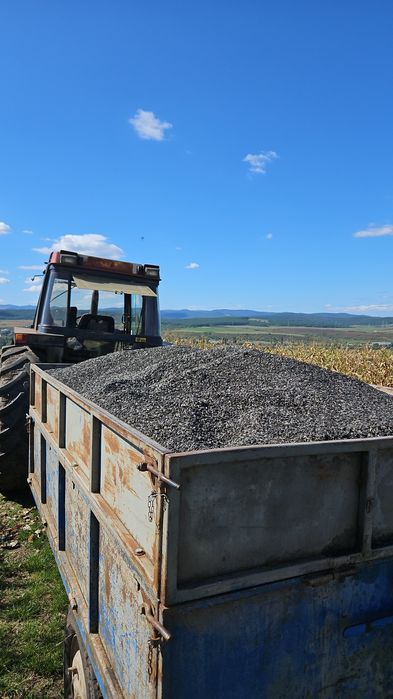Floarea soarelui de vanzare