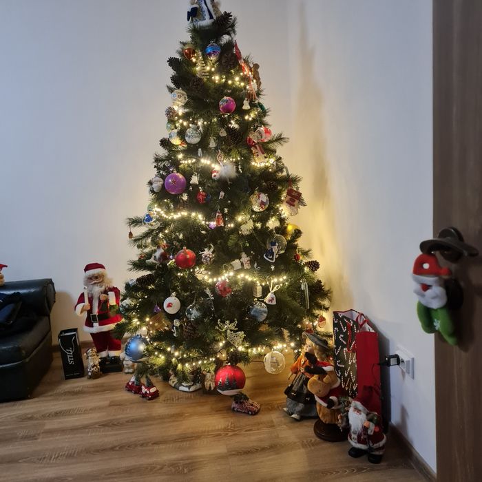 Vând brad Crăciun 210cm