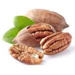 De vanzare Nuc Pecan