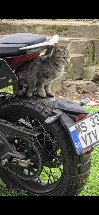 CFMOTO CL-X 700 Adventure 2023